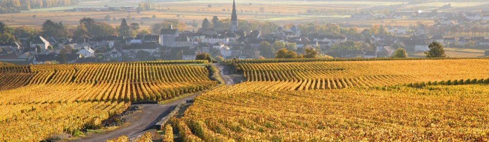 pafh-meursault-vue-du-vignoble-1000